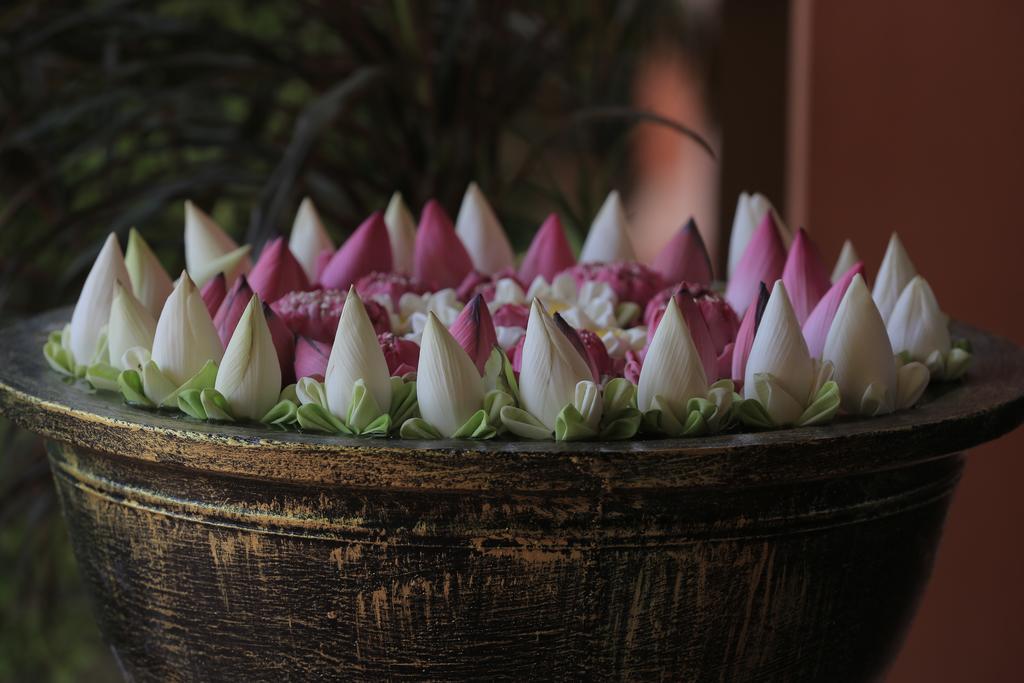 Kouprey Hotel Siem Reap Eksteriør bilde